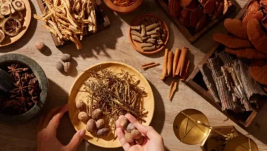 Exploring the Power of Herbal Wellness Nature’s Healing Touch